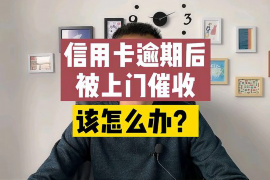 白山融资清欠服务